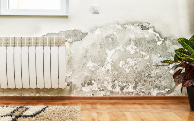 How to treat humidity problems related to rising damp during winter?