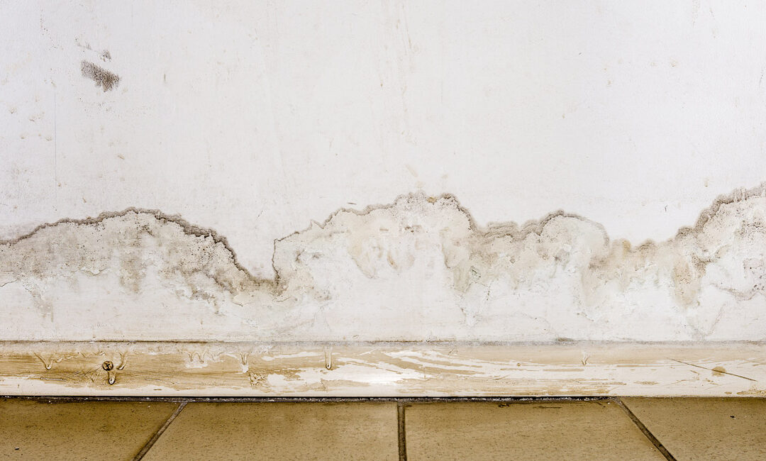 How to Diagnose and Treat Rising Damp?