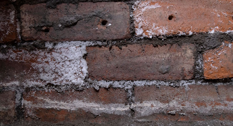 Rising damp on old brick wall with formation of salt crystals