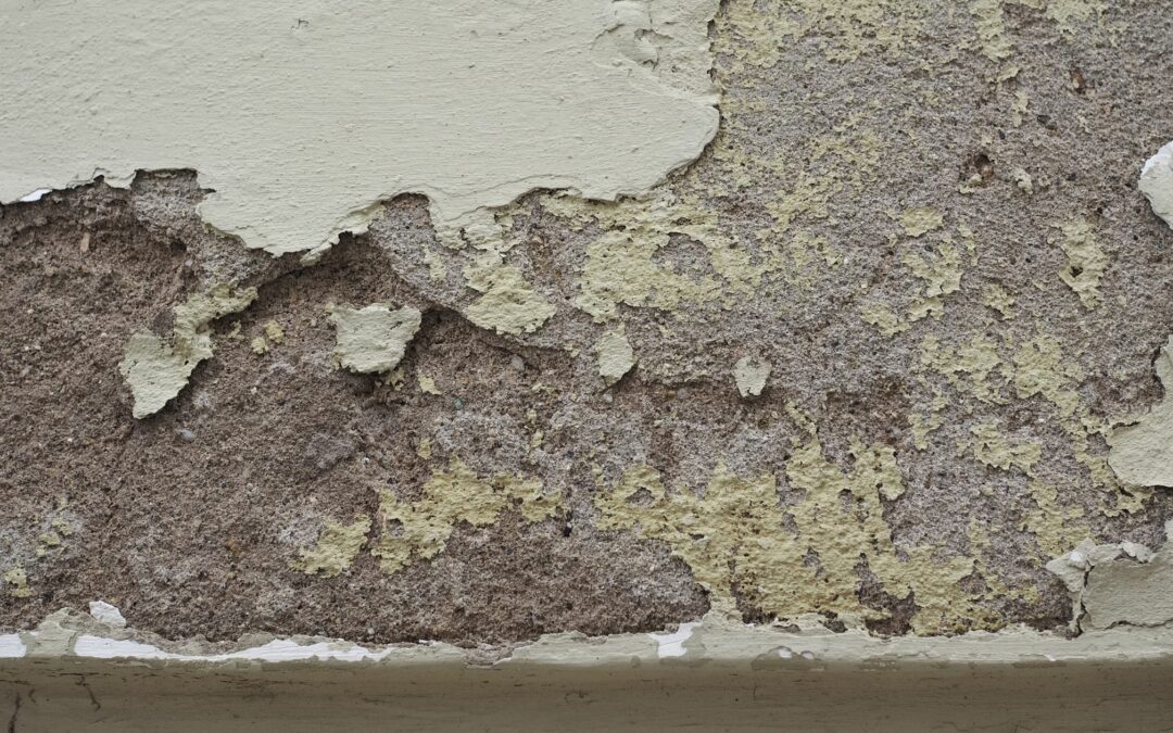 The hidden risks of DPC Injection Cream to eradicate rising damp