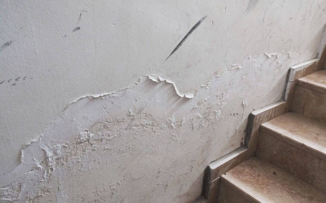 When is it necessary to diagnose rising damp in a home?